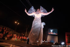 Photos by Patrice Ward (305/825)